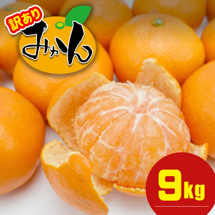 訳あり 熊本県産 温州みかん 約 9kg +約 0.5kg (補償分） | 果物 くだもの フルーツ 柑橘 柑橘類 みかん 温州 家庭用 9キロ 大量 みかん 玉名 熊本 送料無料