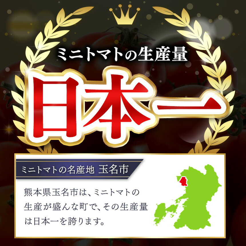 【ふるさと納税】 熊本県産 ミニトマト 約3kg | 野菜 やさい トマト とまと ミニトマト プチトマト | 熊本県 玉名市 - 画像2