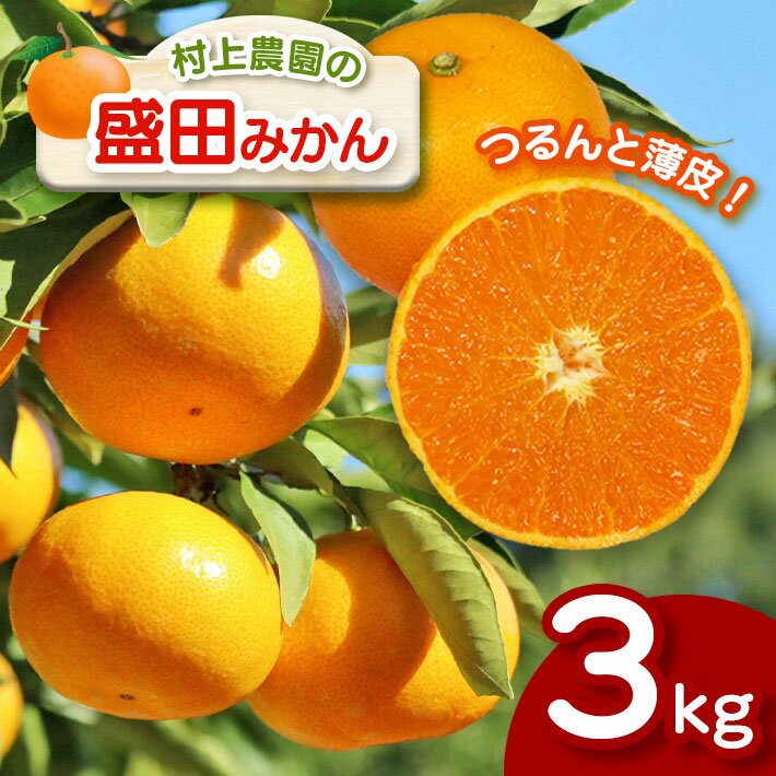みかん 盛田みかん 3kg 盛田温州 村上農園 数量限定 大小混合 産地直送 生産者直送 希少品種 減農薬 薄皮 玉名 熊本 送料無料