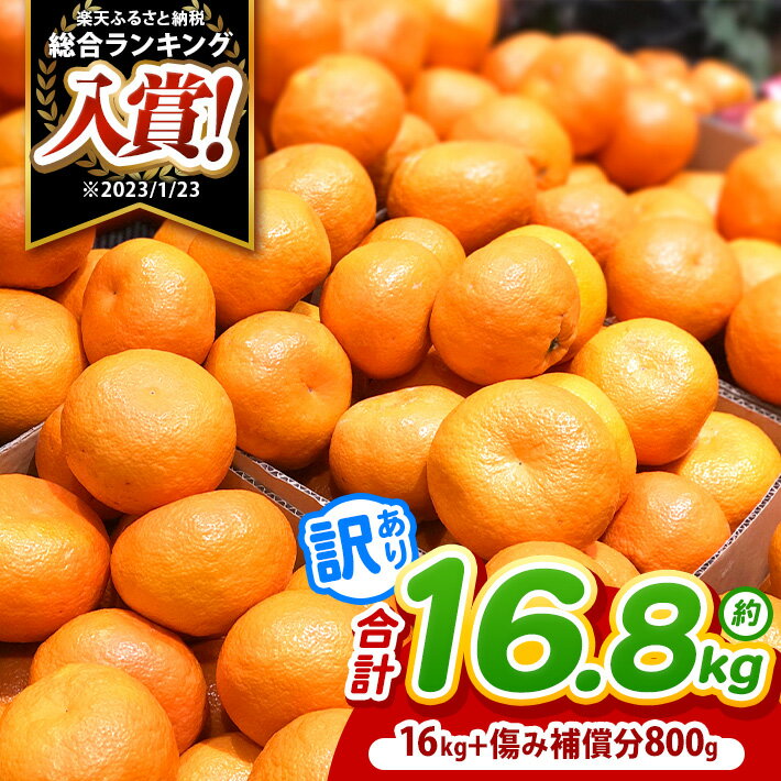 訳あり 熊本県産 温州 みかん 約 16.8kg （16kg+傷み補償分800g） | 果物 くだもの フルーツ 柑橘 柑橘類 みかん 温州 家庭用 18キロ 大量 みかん 玉名 熊本 送料無料 不揃い 傷 大小混合 自宅用