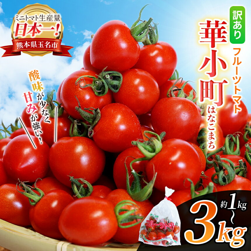 訳あり フルーツトマト 華小町 はなこまち 選べる 1kg / 2kg / 3kg | 野菜 やさい トマト ミニトマト プチトマト ミディトマト 中玉 小玉 中粒 小粒 大小混合 玉名 熊本 とまと