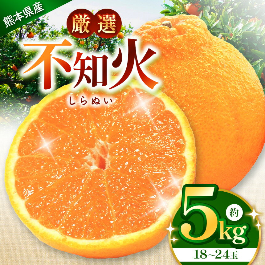 こだわり栽培 厳選 不知火 約 5kg （18〜24玉） iFARM 岩城農園 | みかん ミカン 不知火 しらぬい 柑橘 柑橘類 農家支援 不知火5kg フルーツ 果実 果物 くだもの 人気 熊本県 玉名市