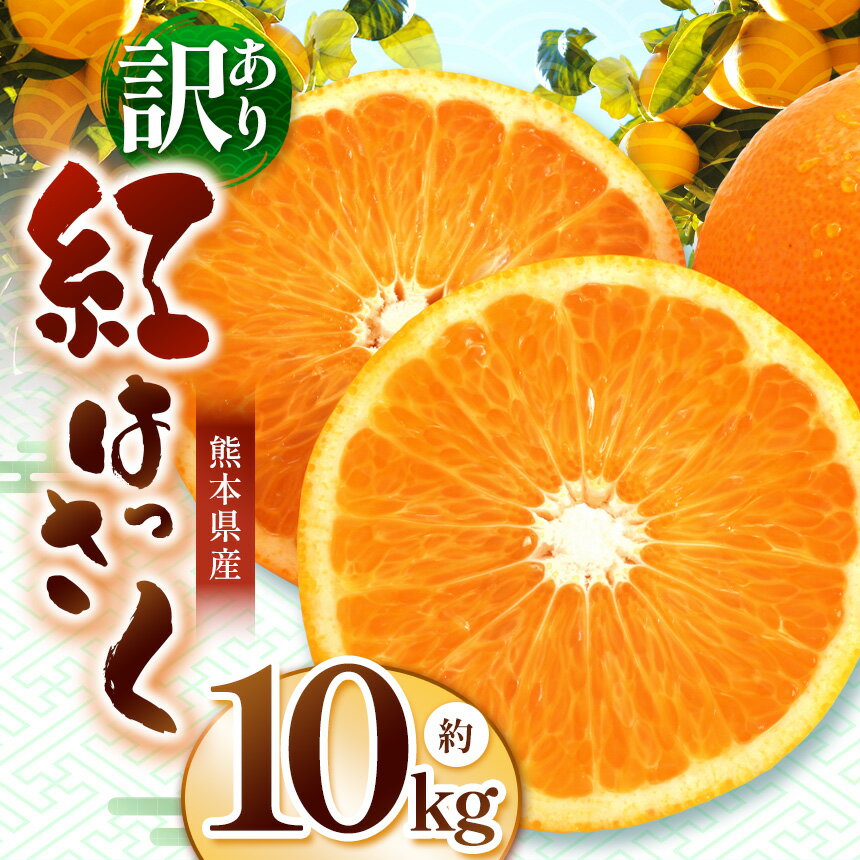 こだわり栽培 訳あり 紅八朔 約 10kg iFARM 岩城農園 | みかん ミカン 八朔 はっさく 紅はっさく 柑橘 柑橘類 農家支援 紅八朔10kg 家庭用 ご家庭用 フルーツ 果実 果物 くだもの 人気 熊本県 玉名市