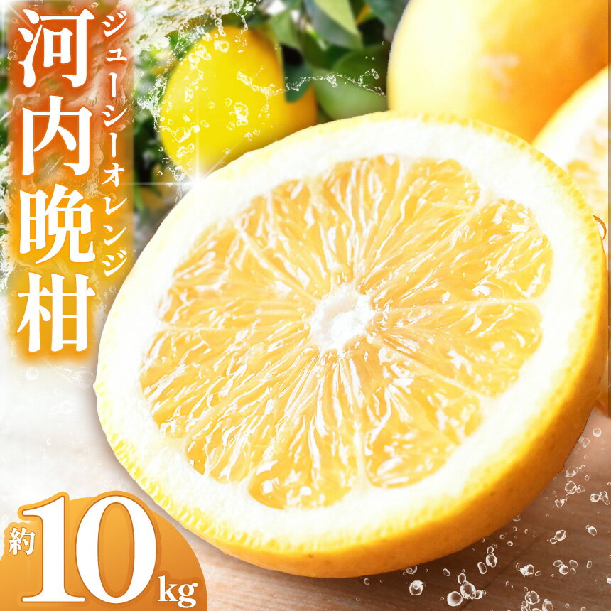 河内晩柑（ジューシーオレンジ）約10kg | 晩柑 オレンジ おれんじ ジューシー 夏 和製グレープフルーツ グレープフルーツ 果物 熊本県 玉名市