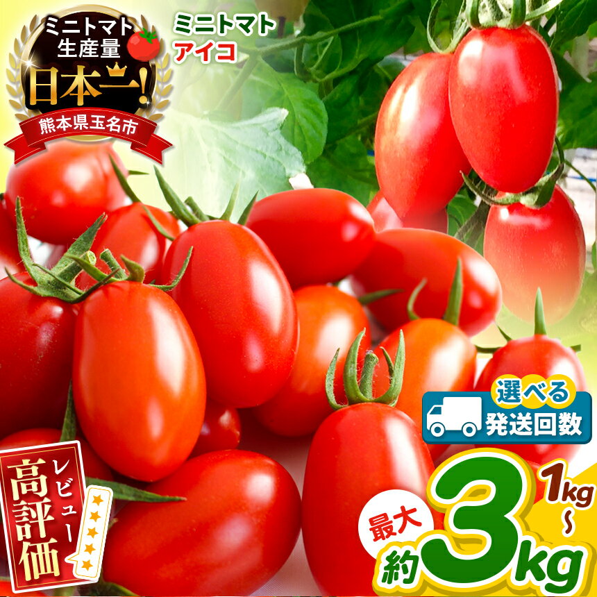 ミニトマト アイコ 約 1kg 2kg 3kg 選べる 内容量 回数 1回 2回 3回 4回 5回 トマト 熊本 サザキ農園 野菜 生産量 日本一 玉名市 !! プラム型 サラダ 野菜 産地直送 生産者直送 熊本 玉名 送料無料