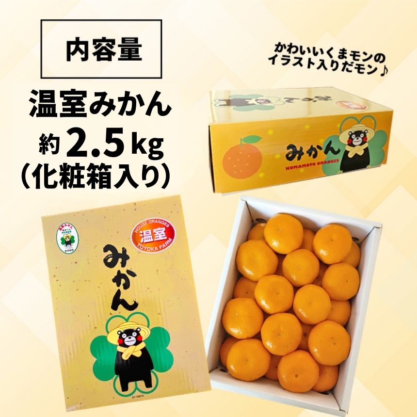 【ふるさと納税】みかん 約2.5kg | 夏みかん ハウスみかん 温室みかん 贈答用 ギフト お中元 のし対応 完熟 熊本県 玉名市 送料無料 サムネイル2