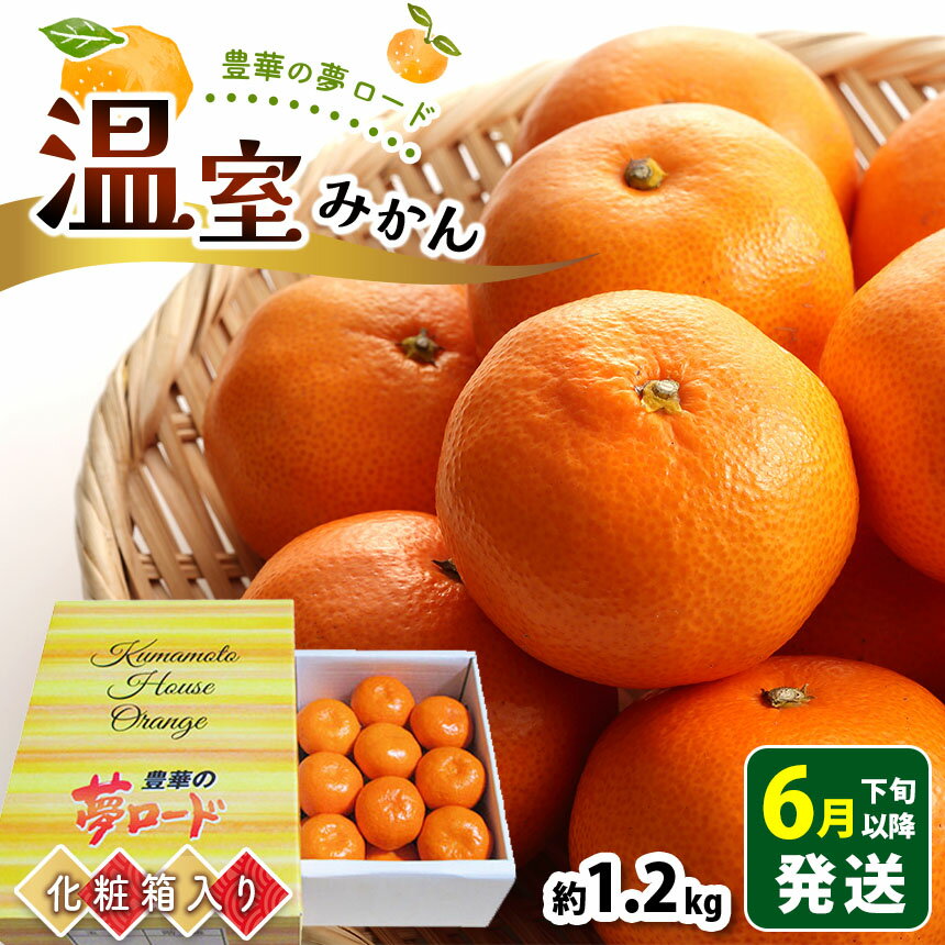みかん 約1.2kg 夏みかん ハウスみかん 温室みかん 贈答用 ギフト お中元 のし対応 完熟 熊本県 玉名市 送料無料