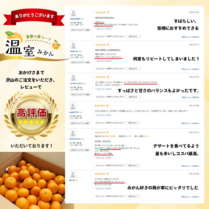 【ふるさと納税】みかん 約2.5kg | 夏みかん ハウスみかん 温室みかん 贈答用 ギフト お中元 のし対応 完熟 熊本県 玉名市 送料無料 サムネイル3