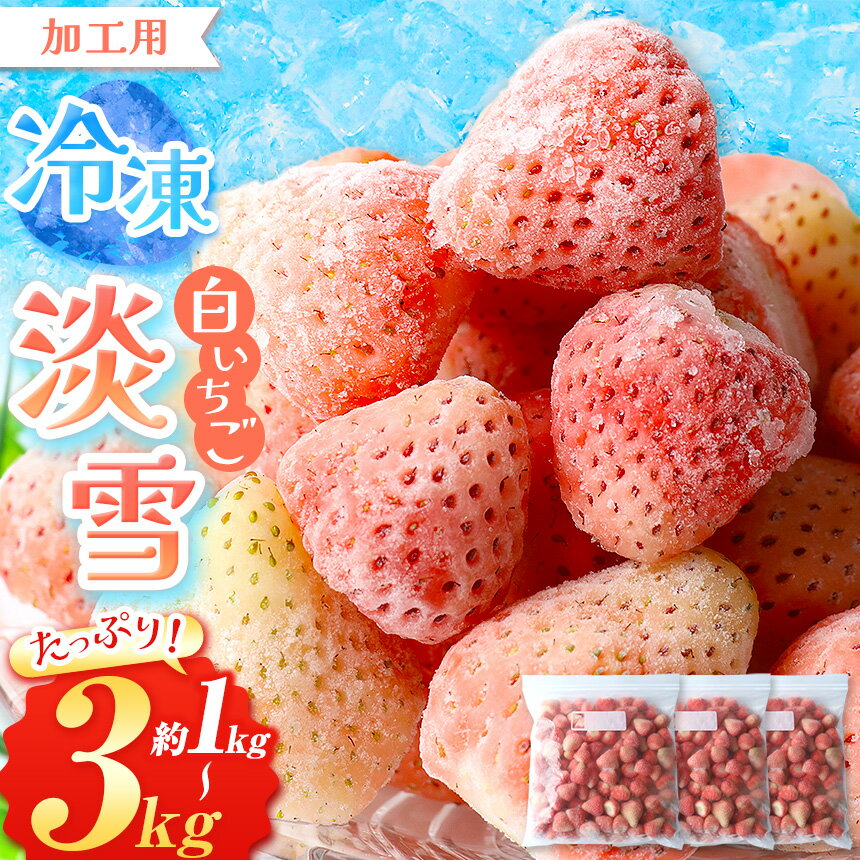 冷凍 白 いちご 淡雪 選べる 約 1kg 約 2kg 約 3kg | 玉名 熊本 果物 フルーツ 苺 イチゴ スムージー ジャム 加工用 夏 アイス