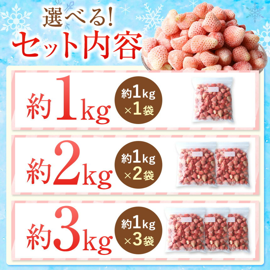 【ふるさと納税】冷凍 白 いちご 淡雪 選べる 約 1kg 約 2kg 約 3kg | 玉名 熊本 果物 フルーツ 苺 イチゴ スムージー ジャム 加工用 夏 アイス サムネイル2