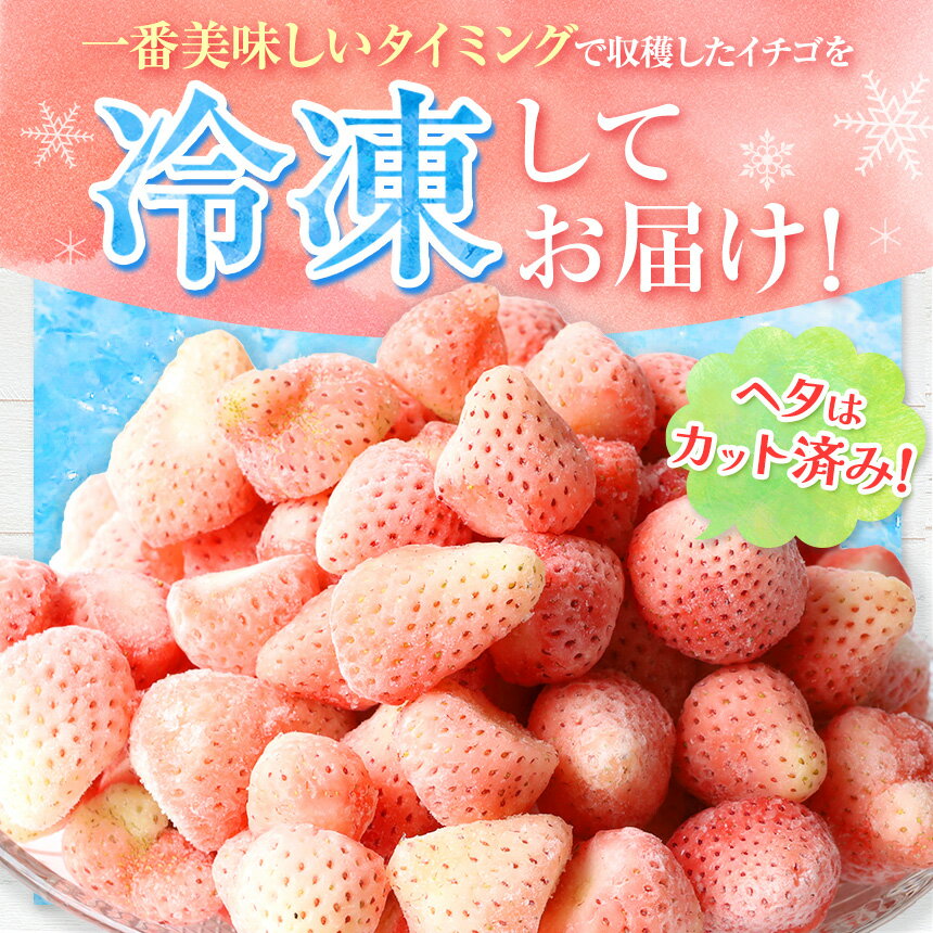 【ふるさと納税】冷凍 白 いちご 淡雪 選べる 約 1kg 約 2kg 約 3kg | 玉名 熊本 果物 フルーツ 苺 イチゴ スムージー ジャム 加工用 夏 アイス サムネイル3