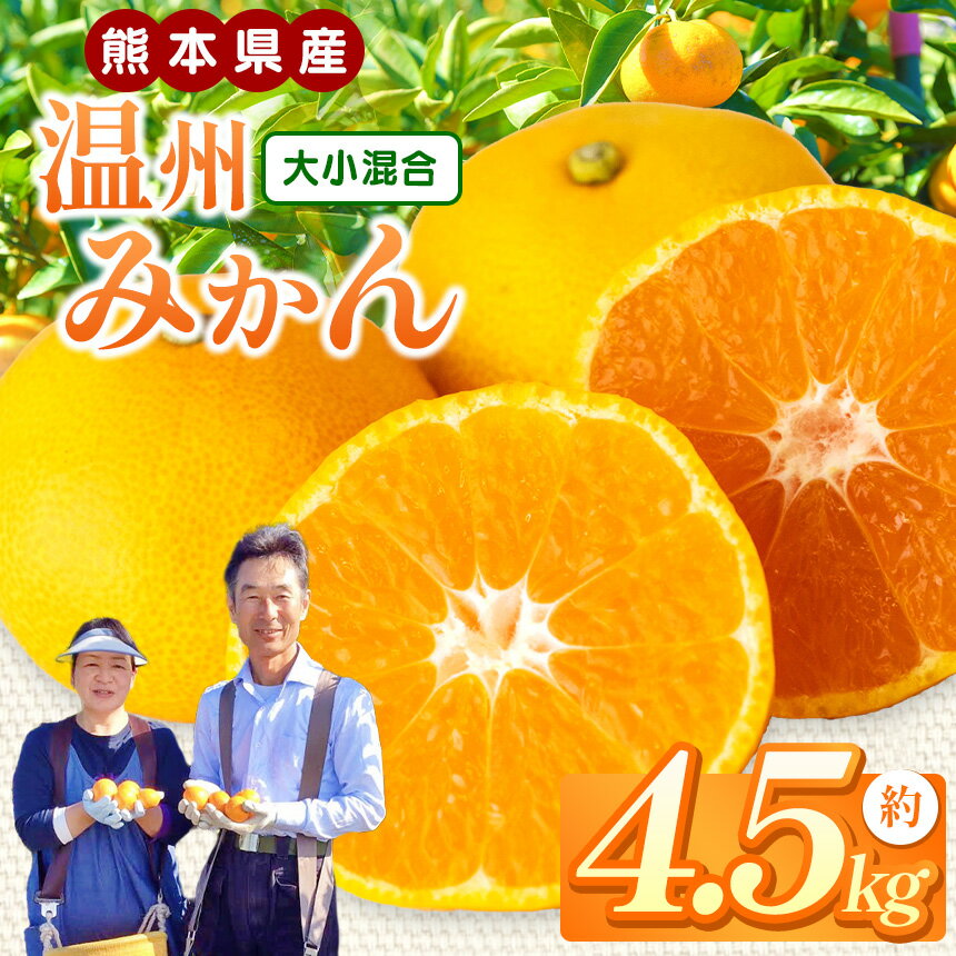 ご家庭用 温州みかん 4.5kg | 産地直送 生産者直送 果物 フルーツ みかん ミカン 4.5キロ 大小混合 家庭用 玉名 熊本 送料無料