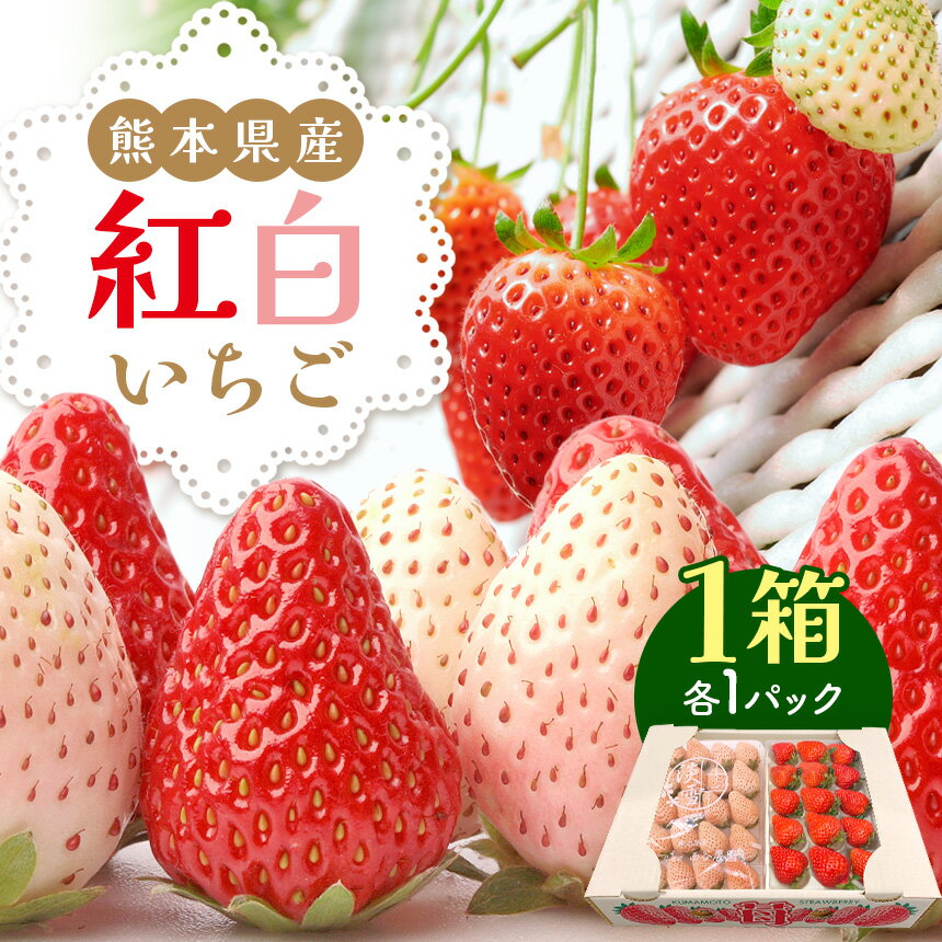 熊本県産 いちご 紅白セット 各1パック ＜ 年内発送 ＞ | フルーツ 果物 くだもの 苺 紅白 白いちご セット 送料無料 熊本県 玉名市