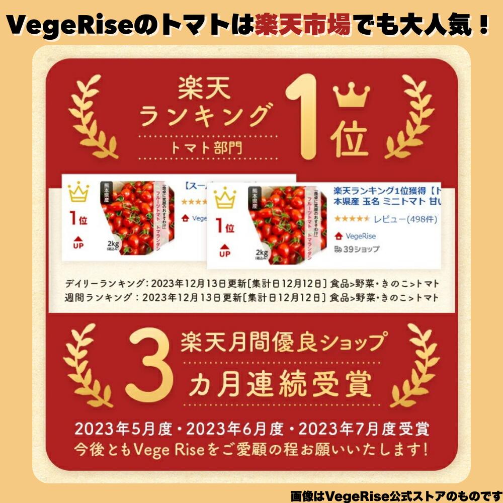 【ふるさと納税】 通常7日以内発送 トマト ミニトマト トマランタン トマ・ランタン VegeRise | 生産者直送 1キロ 2キロ 3キロ 1kg 2kg 3kg 野菜 やさい とまと プチトマト 熊本県 玉名市 送料無料 - 画像2