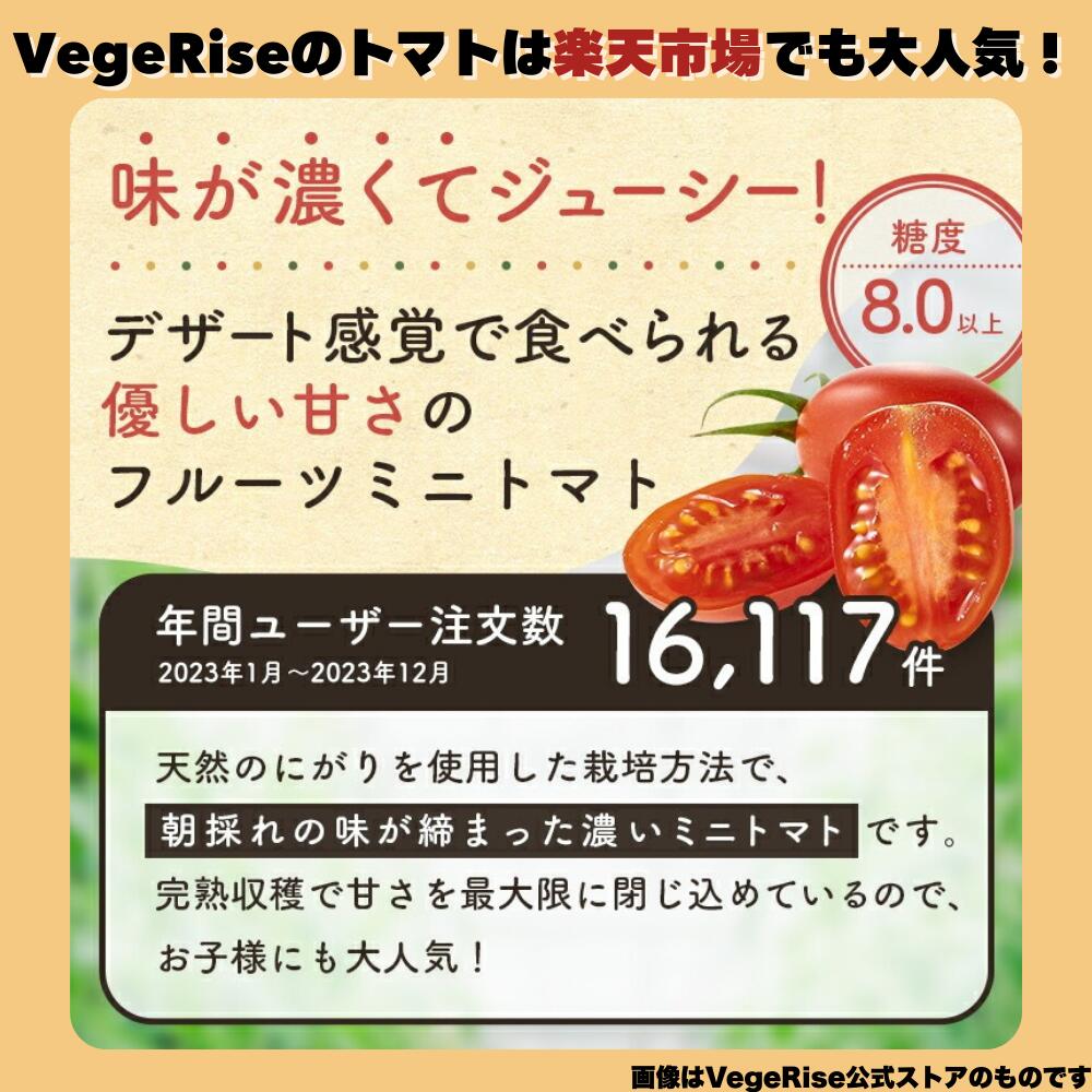 【ふるさと納税】 通常7日以内発送 トマト ミニトマト トマランタン トマ・ランタン VegeRise | 生産者直送 1キロ 2キロ 3キロ 1kg 2kg 3kg 野菜 やさい とまと プチトマト 熊本県 玉名市 送料無料 - 画像3
