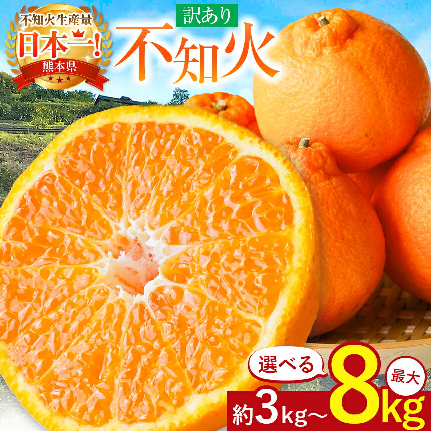訳あり 不知火 約 3キロ 5キロ 8キロ | 果物 くだもの フルーツ 柑橘 柑橘類 生産者直送 みかん 産地直送 家庭用 大小混合 キズあり 熊本県 玉名市 約 3kg 5kg 8kg 送料無料