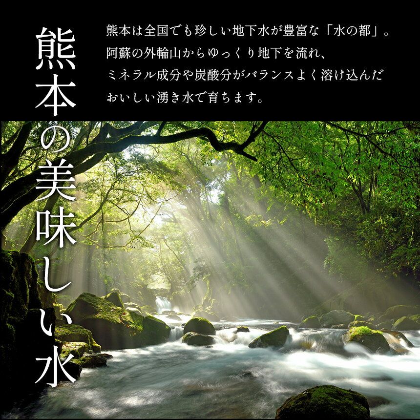 【ふるさと納税】訳あり 柑橘 定期便 3回 みかん9kg 不知火5kg 河内晩柑7kg | 玉名 熊本 生産者直送 みかん 産地直送 家庭用 大小混合 キズあり 熊本県 玉名市 送料無料 サムネイル3