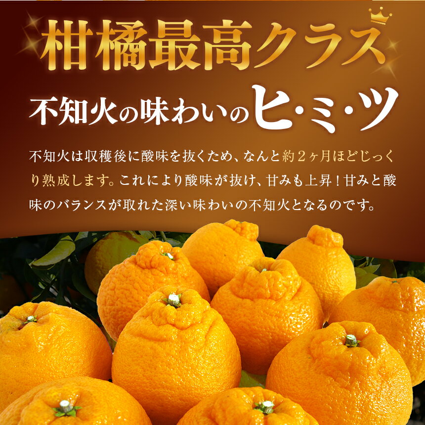 【ふるさと納税】訳あり 不知火 約 3キロ 5キロ 8キロ | 果物 くだもの フルーツ 柑橘 柑橘類 生産者直送 みかん 産地直送 家庭用 大小混合 キズあり 熊本県 玉名市 約 3kg 5kg 8kg 送料無料 サムネイル2