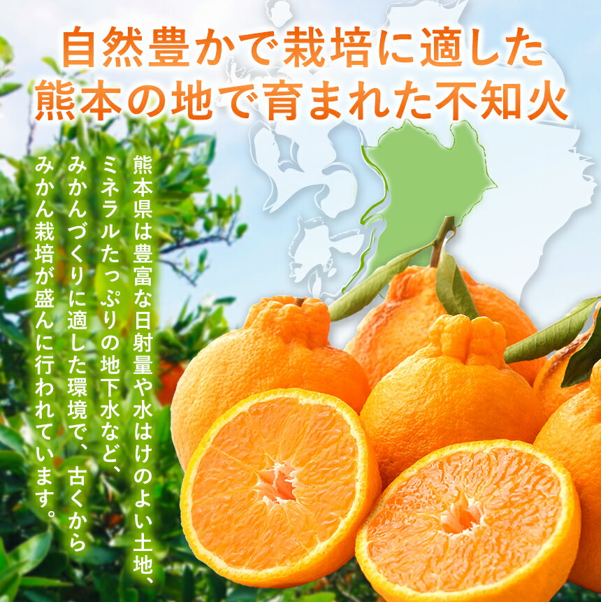 【ふるさと納税】訳あり 不知火 約 3キロ 5キロ 8キロ | 果物 くだもの フルーツ 柑橘 柑橘類 生産者直送 みかん 産地直送 家庭用 大小混合 キズあり 熊本県 玉名市 約 3kg 5kg 8kg 送料無料 サムネイル3
