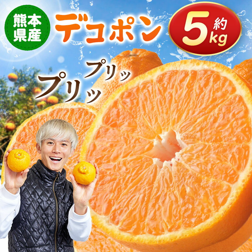 光センサー使用！ 熊本県産 デコポン 約 5kg | 果物 くだもの フルーツ 柑橘 柑橘類 でこぽん 不知火 みかん 旬 味覚 熊本県 玉名市 送料無料 産地直送