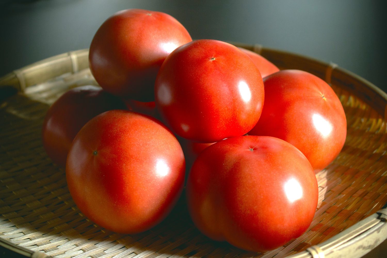 【ふるさと納税】選べる 田添農園 大玉トマト 約 1kg / 2kg / 3kg | 野菜 やさい 大玉 トマト とまと 1キロ 2キロ 3キロ 産地直送 熊本県 玉名市 - 画像2