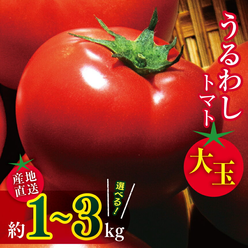 選べる 田添農園 大玉トマト 約 1kg / 2kg / 3kg | 野菜 やさい 大玉 トマト とまと 1キロ 2キロ 3キロ 産地直送 熊本県 玉名市