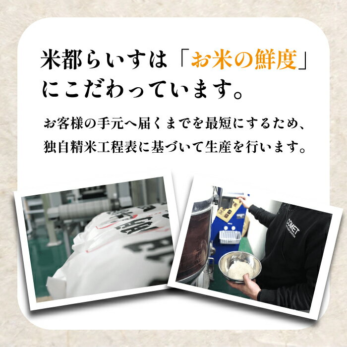 【ふるさと納税】菊鹿 棚田米 20kg 【ミヤタ 株式会社 】 米 こめ お米 熊本県産 山鹿市 くまさんの輝き [ZAH003] - 画像2