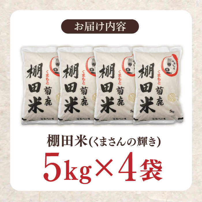 【ふるさと納税】菊鹿 棚田米 20kg 【ミヤタ 株式会社 】 米 こめ お米 熊本県産 山鹿市 くまさんの輝き [ZAH003] - 画像3