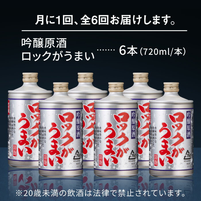 【ふるさと納税】【全6回定期便】 吟醸原酒ロックがうまい 720ml 6本【千代の園酒造 株式会社 】[ZAI008] サムネイル3