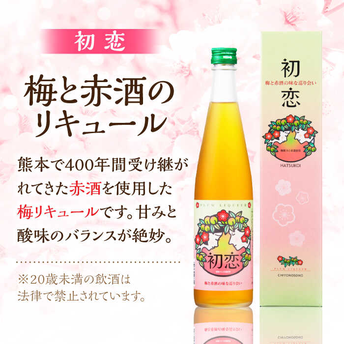 【ふるさと納税】梅 赤酒 リキュール 初恋 500ml 2本セット 【千代の園酒造 株式会社 】[ZAI046] サムネイル2