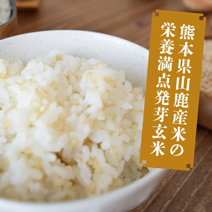 【ふるさと納税】〈令和7年度産米〉【金賞受賞米使用】くまもとの元気！発芽玄米 2kg×2袋【株式会社 れんげ・カンパニー】[ZAX003] お米 米 玄米 国産 ご飯 酵素 食物繊維 熊本県産 真空パック 令和7年 - 画像3