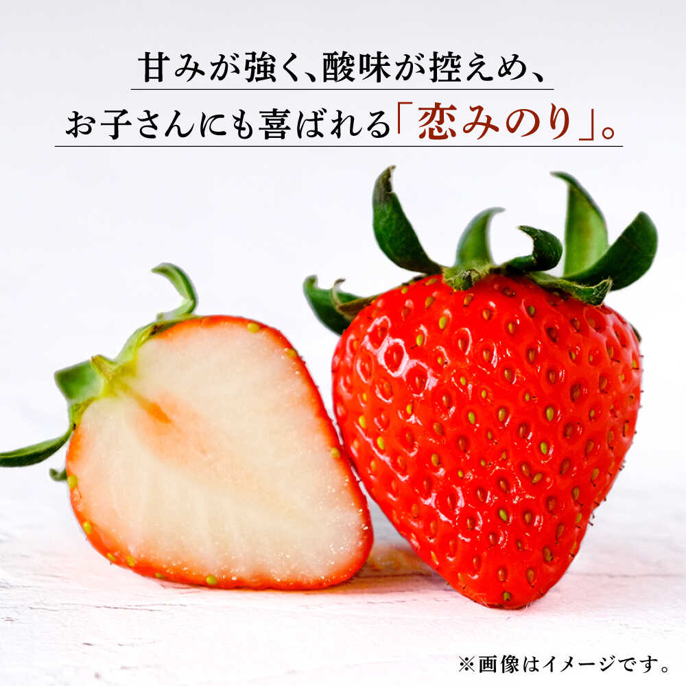 【ふるさと納税】高級 冷凍 いちご 加工用 約1kg（約500g×2袋）【伊藤農園】[ZBB003] サムネイル2