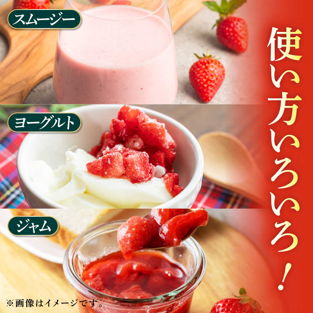 【ふるさと納税】高級 冷凍 いちご 加工用 約1kg（約500g×2袋）【伊藤農園】[ZBB003] サムネイル3