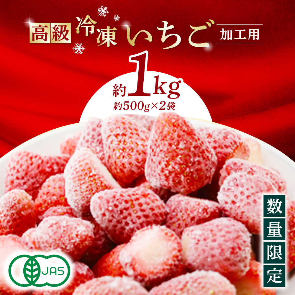 高級 冷凍 いちご 加工用 約1kg（約500g×2袋）【伊藤農園】[ZBB003]