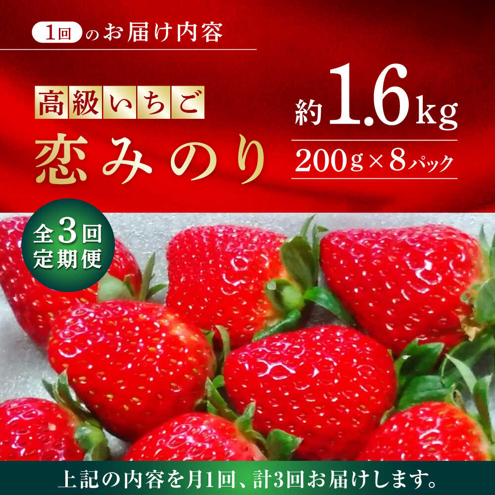 【ふるさと納税】【先行予約】【3回定期便】高級 いちご 恋みのり 約1600g（200g×8pc）【伊藤農園】[ZBB010] イチゴ 旬 有機栽培 評判 レビュー 完熟 高級いちご フレッシュ 山鹿 人気 産地 新鮮 特産 特産品 ブランド お取り寄せ おすすめ 熊本県 サムネイル3