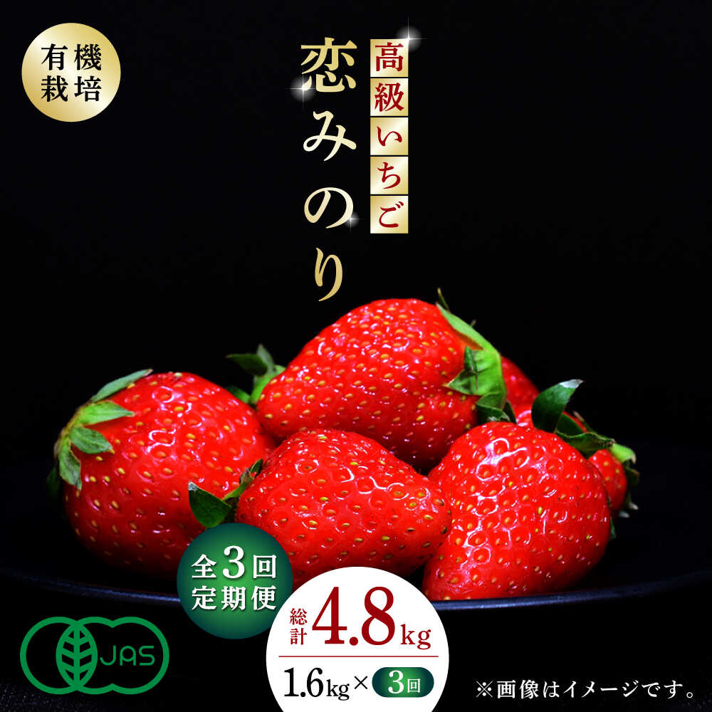 【先行予約】【3回定期便】高級 いちご 恋みのり 約1600g（200g×8pc）【伊藤農園】[ZBB010] イチゴ 旬 有機栽培 評判 レビュー 完熟 高級いちご フレッシュ 山鹿 人気 産地 新鮮 特産 特産品 ブランド お取り寄せ おすすめ 熊本県