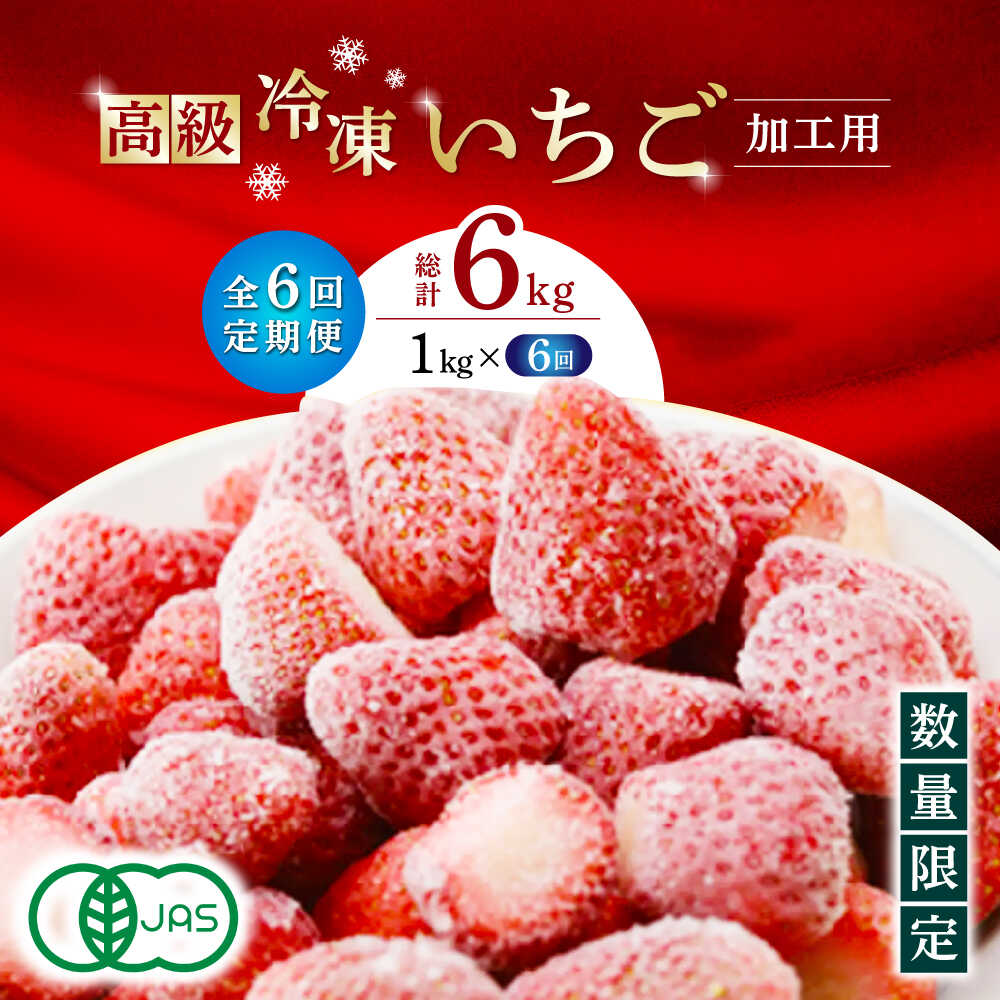 【6回定期便】高級 冷凍 いちご 加工用 約1kg（約500g×2袋）【伊藤農園】[ZBB016]