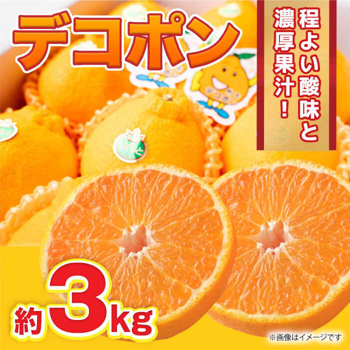 【先行予約】デコポン 約3kg 6玉〜12玉【くまふる】[ZBG009]