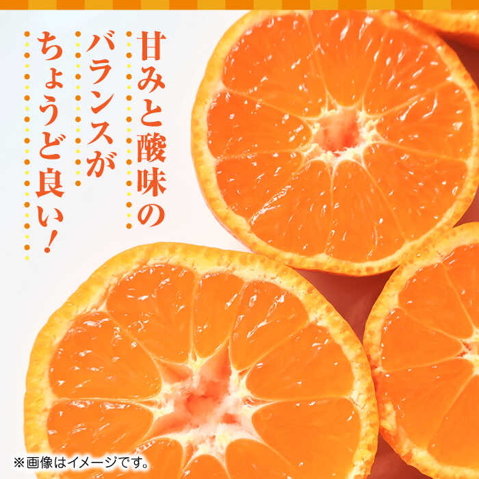 【ふるさと納税】【先行予約】温州みかん約10kg　2S〜2Lサイズ　【くまふる】[ZBG049] サムネイル3