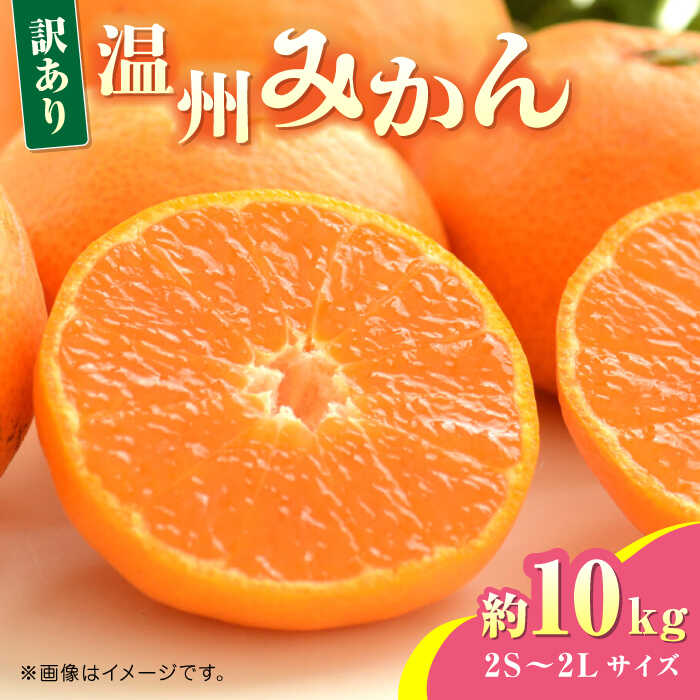 【先行予約】温州みかん約10kg　2S〜2Lサイズ　【くまふる】[ZBG049]
