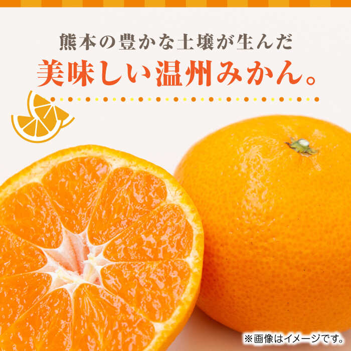 【ふるさと納税】【先行予約】温州みかん約5kg　2S〜2Lサイズ　【くまふる】[ZBG051] サムネイル2