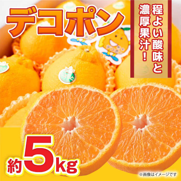 【先行予約】デコポン 約5kg 12玉〜20玉 【くまふる】[ZBG059]