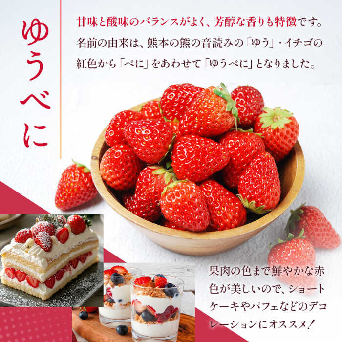 【ふるさと納税】【先行予約】 ゆうべに・恋みのり 食べ比べセット 約1kg【くまふる】[ZBG064] サムネイル2