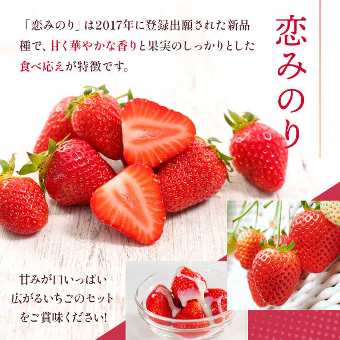 【ふるさと納税】【先行予約】 ゆうべに・恋みのり 食べ比べセット 約1kg【くまふる】[ZBG064] サムネイル3