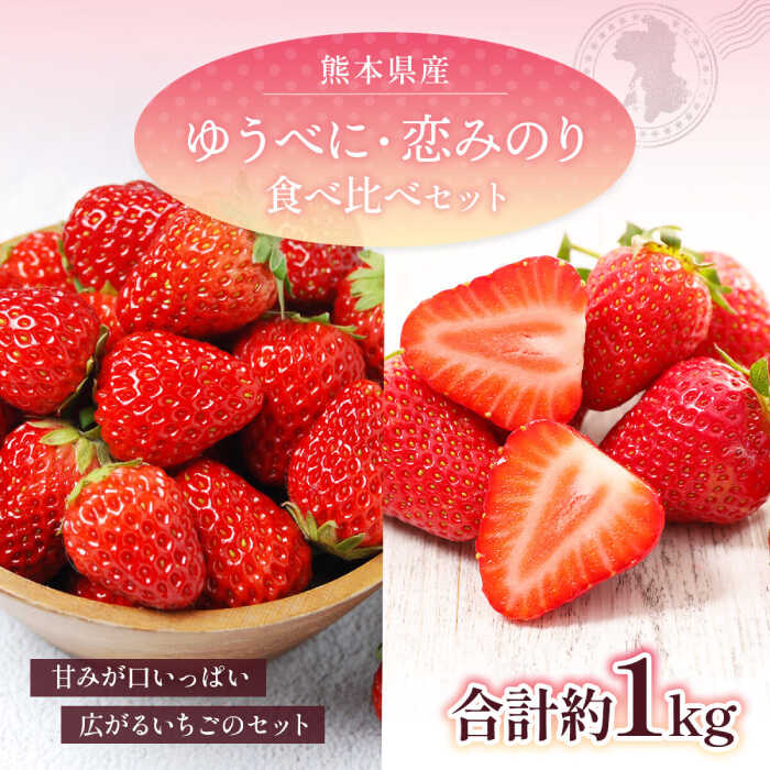 【先行予約】 ゆうべに・恋みのり 食べ比べセット 約1kg【くまふる】[ZBG064]