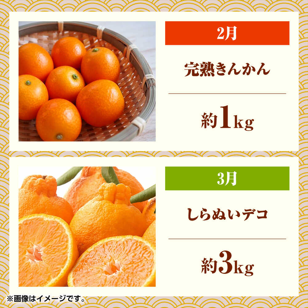 【ふるさと納税】フルーツ6ヶ月定期便　【2月〜7月】　【くまふる】[ZBG077] サムネイル2