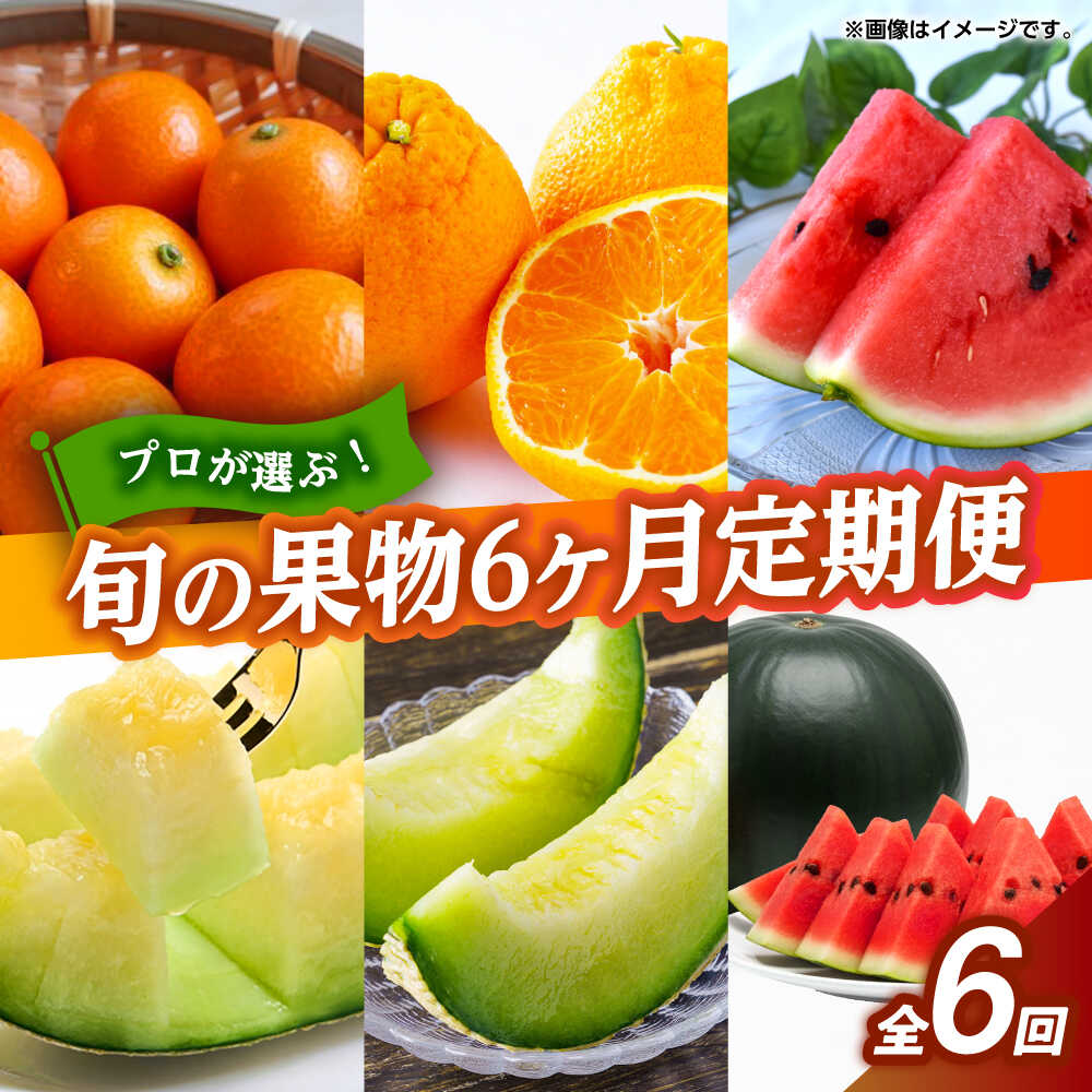 フルーツ6ヶ月定期便　【2月〜7月】　【くまふる】[ZBG077]