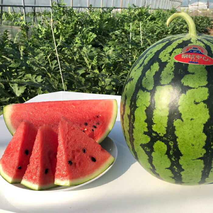 【ふるさと納税】【先行予約】【初夏に実った贈り物】大玉 スイカ 約7kg【なかむら農園】[ZBH001] サムネイル2