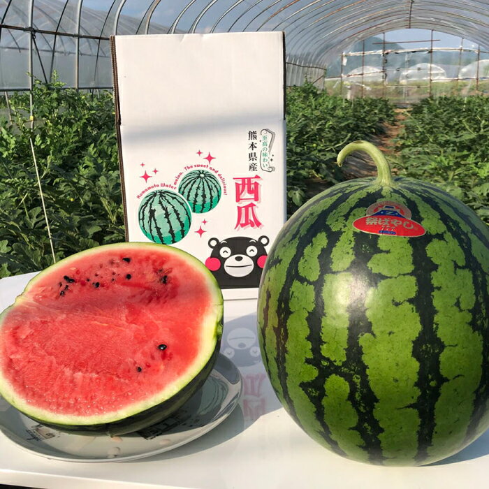 【ふるさと納税】【先行予約】【初夏に実った贈り物】大玉 スイカ 約7kg【なかむら農園】[ZBH001] サムネイル3