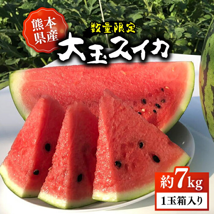 【先行予約】【初夏に実った贈り物】大玉 スイカ 約7kg【なかむら農園】[ZBH001]